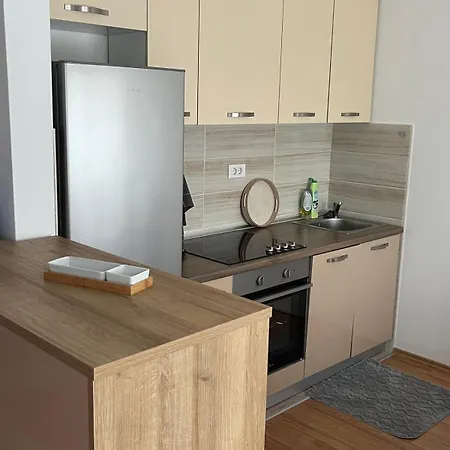 Apartment Plavsic Zlatibor