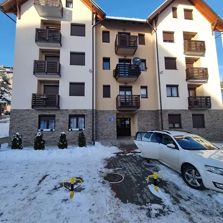 Plavsic Zlatibor